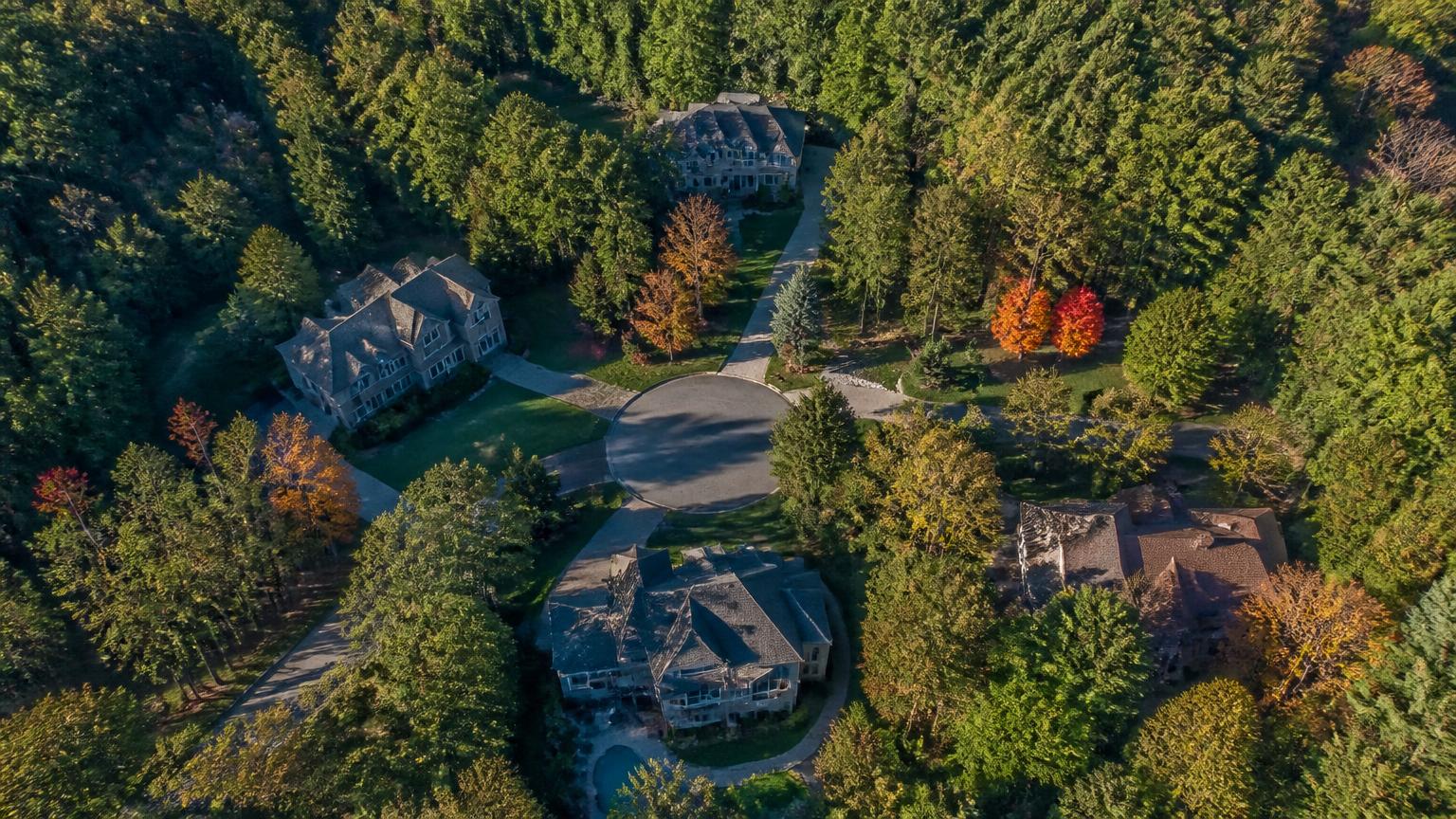 Aerial view of a wooded estate cul-de-sac in the Waxhaw / Weddington corridor